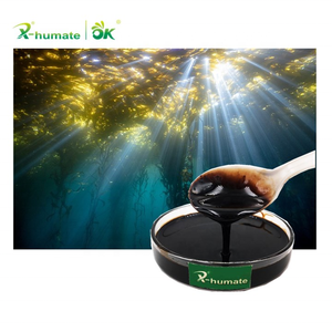 X Humate Certificado Orgánico Precio de Fábrica Líquido Extracto de Algas Marinas Fertilizante - Product Image 3