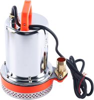 Pompe à Eau Électrique Submersible à Engrenages 12V 24V 48V 72V CC, Basse Pression, 300W-500W, pour Irrigation Agricole et Jardin, Alimentée par Batterie Solaire