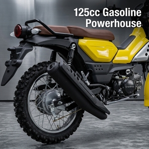 Motocicleta Todoterreno 2026 Trail 125cc Estilo PG-1 Alternativa a Scrambler, a Gasolina, CKD, Ahorro de Impuestos, Soporte para Pedidos de Prueba 20GP - Product Image 2