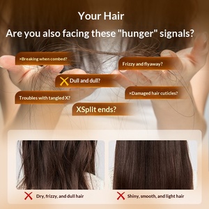 Essenza per il Cuoio Capelluto Platycladi con Acido Ialuronico, Olio Essenziale Idratante e Riparatore Anti-Crespo per Capelli Forti e Flessibili - Product Image 3