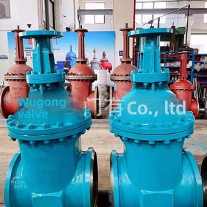 Vanne à opercule en acier moulé Z41H-10C/Z45H-25C pour eau/vapeur/huile DN40-DN300, température modérée - Product Image 3