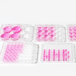 Steril 4 <span class=keywords><strong>6</strong></span> 12 24 48 96 wells <span class=keywords><strong>Tissue</strong></span> <span class=keywords><strong>Culture</strong></span> <span class=keywords><strong>Plate</strong></span> cell <span class=keywords><strong>culture</strong></span> <span class=keywords><strong>plate</strong></span> untuk lab - Product Image 4