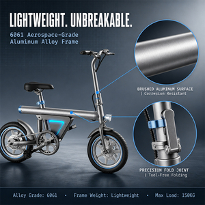 จักรยานไฟฟ้า Flywheel Fatbike EB9 จักรยานเสือภูเขาไฟฟ้าราคาประหยัด ยางใหญ่ ดิสก์เบรก - Product Image 3