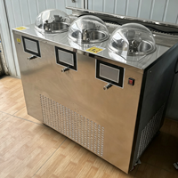 Macchina Automatica Professionale per Gelato Artigianale Italiano a Doppio Cilindro con Display Integrato in Acciaio Inossidabile per Latte