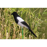 Leurres de chasse pour oiseaux, leurre de chasse, tour de pie, Cage de tir pour oiseaux, leurre de chasse peint