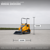 Mini-Kompaktlader T390 mit Raupenantrieb für Landschaftsbau, Gärtnerei und Hofarbeit, 250kg Nennlast, Benzinmotor, EPA EURO5