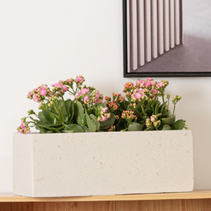 <span class=keywords><strong>Maceta</strong></span> <span class=keywords><strong>grande</strong></span> de cemento de estilo europeo para balcón al aire libre, jardín, terraza, decoración, caja de flores <span class=keywords><strong>Rectangular</strong></span> creativa para uso doméstico - Product Image 3