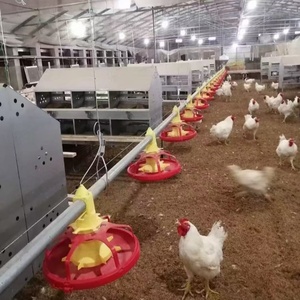 Boîte de collecte de <span class=keywords><strong>poules</strong></span> <span class=keywords><strong>pondeuses</strong></span> bon marché antirouille pour <span class=keywords><strong>poules</strong></span> <span class=keywords><strong>pondeuses</strong></span> en Amérique petite <span class=keywords><strong>ferme</strong></span> avicole personnelle - Product Image 1