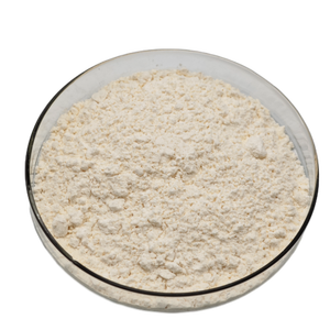 Organik kayısı çekirdeği ekstresi tozu toplu vitamin satılık acı badem özü - Product Image 3