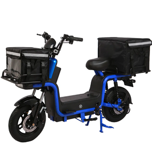 Motocicletta Elettrica 800W all'Ingrosso per Adulti e Bambini, Approvata EEC, Sistema a Batteria al Litio, Prezzo Diretto di Fabbrica - Product Image 1