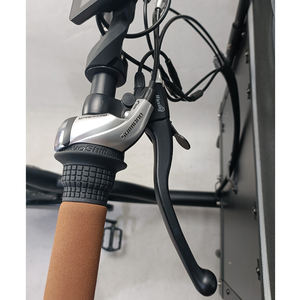 <span class=keywords><strong>Tricycle</strong></span> électrique familial à trois roues de style néerlandais avec arc-en-ciel (FP-ETRI22002) - Product Image 3