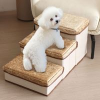 Escabeau pliable léger à 4 marches pour chien, rampe pour chat pour lit et canapé