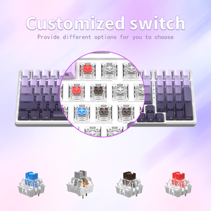 ZIFRIEND ZT99 TLK Custom Keyboard Kit Hotswap <b>Wireless</b> USB Gasket RGB Backlit Gaming Mechanical <b>PC</b> Laptop Wholesale Custom Hotsw - Product Image 2