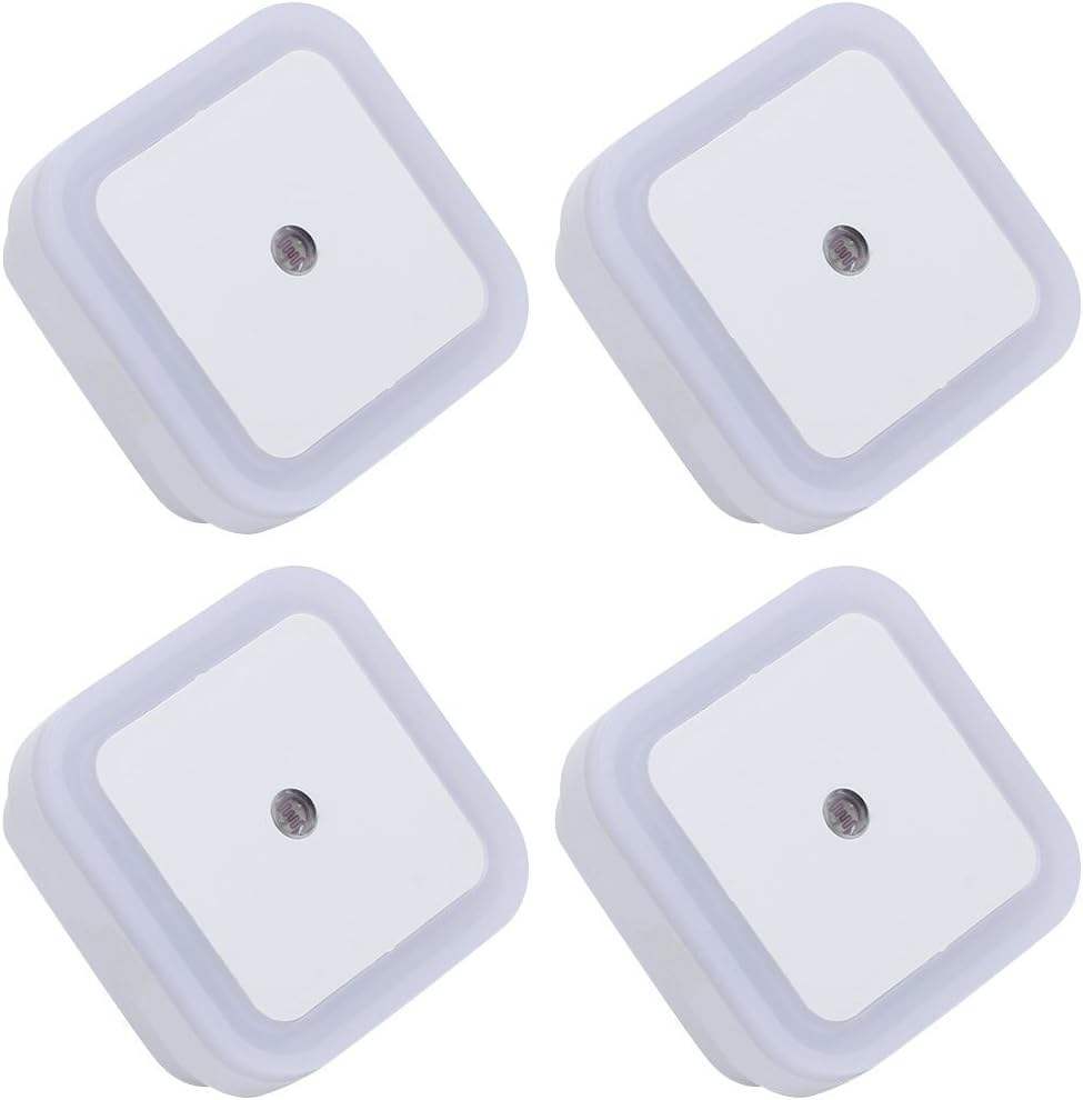 Concha blanca con luz blanca.