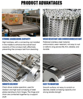 Bande transporteuse en maille métallique en acier inoxydable à entraînement par chaîne, grade 304, tissage spiralé, pour ligne de production de fours de séchage alimentaire