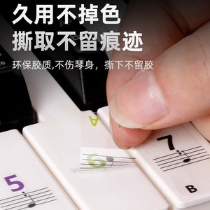 Autocollant pour clavier de piano 88/61/54 touches universel pour enfants et adultes avec notes musicales et notation musicale - Product Image 5