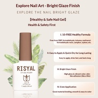 RISYAL Gel à ongles en gros, nouveau gel UV effet œil de chat, kit complet pour salons de manucure, transparent comme de la glace