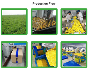 Di alta qualità autentico cinese congelato <span class=keywords><strong>pesche</strong></span> OEM IQF giallo pesca dadi alla rinfusa imballaggio a basso prezzo per i mercati - Product Image 4