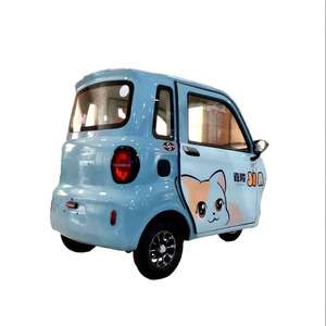 Customizable 3-Wheel Mini Electric Tricycle 2-Door <strong>Enclosed</strong> <strong>Trike</strong> with 1000W for Passengers Body Type Closed - Product Image 5