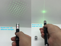Jouet pour chat avec étoiles laser vertes, lampe torche laser, stylo laser rouge bleu vert, pointeurs laser pour chats et chiens, jouets interactifs, pointeur laser vert