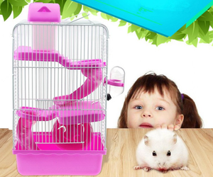 <span class=keywords><strong>Cage</strong></span> à <span class=keywords><strong>hamster</strong></span> pour animaux de compagnie <span class=keywords><strong>Cage</strong></span> à <span class=keywords><strong>hamster</strong></span> large bon marché Accessoires pour <span class=keywords><strong>hamster</strong></span> - Product Image 4