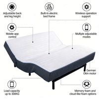 Matelas électrique intelligent avec contrôle par application, housse amovible durable, ultra confort, sommeil profond et paisible, alarme de réveil, chambre à coucher, maison