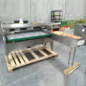 Machine de tri et de lavage automatique haute précision pour œufs de poule et fruits, avec plateau en acier inoxydable 304, pour ligne de production et emballage - Product Image 1