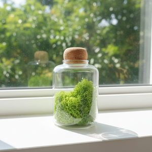 7*11cm <strong>Small</strong> Modern Transparent Hydroponic Borosilicate Glass Tabletop Vases with Cork Lid for Home Wedding Christmas - Product Image 5