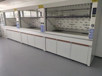 Hotte de laboratoire à conduit, armoire de ventilation chimique tout acier pour laboratoire de recherche en chimie