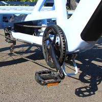 Rickshaw 20*4.0 pouces gros pneu 3 roues électrique pliant passager Tricycle E Cycle famille Cargo vélo E Trike Taxi vélo Touring