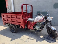 Tricycle Moto Robuste à 3 Roues pour Fret et Dockers, Moteur Essence 150CC 200CC 250CC