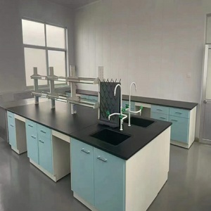 Bán Đồ Nội Thất Phòng Thí Nghiệm Khoa Học Bàn Treo Tường Phòng Thí Nghiệm Ghế Làm Việc Đảo Có Bồn Rửa Thiết Bị Phòng Thí Nghiệm - Product Image 6