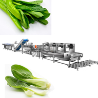 Commerciële Groenteverwerkingslijn Fabrikanten Salade Groente-En Fruitsnij-En Wasapparatuur