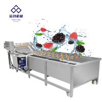Industriële appel-cranberry-fruit-groente-bubbelwasser motor sojabonen automatische reiniging hoge efficiëntie 304 roestvrij staal