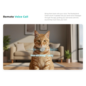 <span class=keywords><strong>Collier</strong></span> intelligent <span class=keywords><strong>pour</strong></span> <span class=keywords><strong>chat</strong></span> et chien <span class=keywords><strong>avec</strong></span> suivi du comportement par IA, localisation <span class=keywords><strong>GPS</strong></span> <span class=keywords><strong>pour</strong></span> la surveillance de la santé et la sécurité en extérieur - Product Image 4