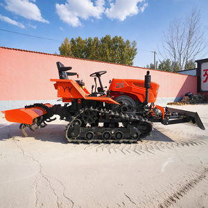 Trattore Cingolato Multifunzione per Piccole Aziende Agricole, Certificato CE, per Frutteti e Vigneti, con Fresa Rotativa - Product Image 5