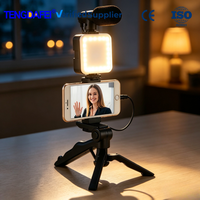 Sofort lieferbares Handy-Aufnahmeset für TikTok YouTube Live-Übertragungen – Mini-Stativ, Mikrofon, LED-Videoleuchte, OEM-Unterstützung