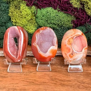 Pierre de palmier en agate rouge naturelle polie en gros pour la décoration de bureau à domicile - Product Image 4