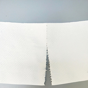 Venta al por mayor 12-Pack fuerte y suave pelusa papel higiénico T rollos para uso doméstico - Product Image 3