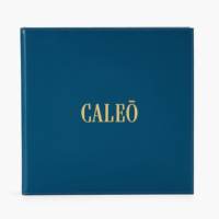 Guide de service et menu de restaurant haut de gamme, inserts de menu personnalisés avec cuir et gaufrage doré.