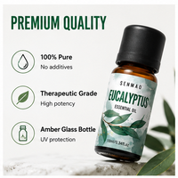 Huile essentielle d'eucalyptus pure et naturelle ; Améliore la respiration et offre des propriétés antibactériennes, idéale pour la parfumerie d'intérieur.