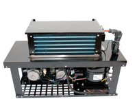 Mini refroidisseur de réfrigérateur personnalisé Distributeur automatique de congélation Mini unité de condensation