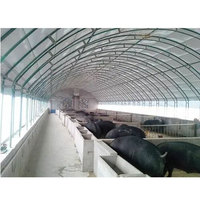 Vente directe d'usine maison de volaille préfabriquée Structure en acier mouton grange élevage hangar