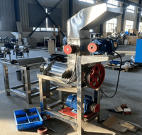 Multifunctionele mango fruitsap extractor, gember schroefpers sapcentrifuge, druiven schroefpers sapcentrifuge