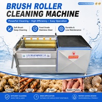 Machine à laver les pommes de terre à rouleaux brossés automatiques, équipement de nettoyage des légumes-racines, machines de transformation alimentaire