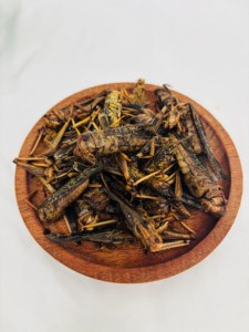 โรงงานขายส่ง OEM ตั๊กแตนสด อาหารเสริมสำหรับสัตว์เลี้ยง เหมาะสำหรับปลา <span class=keywords><strong>นก</strong></span> ไก่ เต่า และสัตว์เลื้อยคลานอื่นๆ - Product Image 1