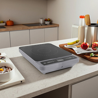 Cuisinière à induction intelligente 3500W, réchaud portable à induction solaire pour cuisine, cuisinière électrique