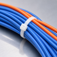 Connecteurs de fils mâles et femelles BeiXing Original à pas de 2,5 mm, faisceau de câbles personnalisable, faisceau de câbles électriques