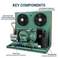Système de réfrigération semi-hermétique à refroidissement par air pour unité de condensation de compresseur 5 tonnes 10 tonnes R22 pour chambre froide et congélateur walk-in