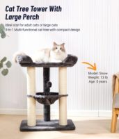 Tour pour chat Starmon avec perchoir moelleux, arbre à chat stable, griffoir pour chat avec hamac